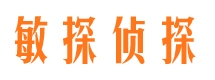 寒亭侦探公司